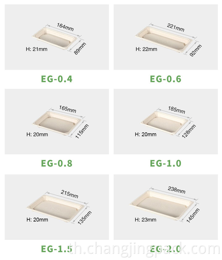 Bagasse Food Container